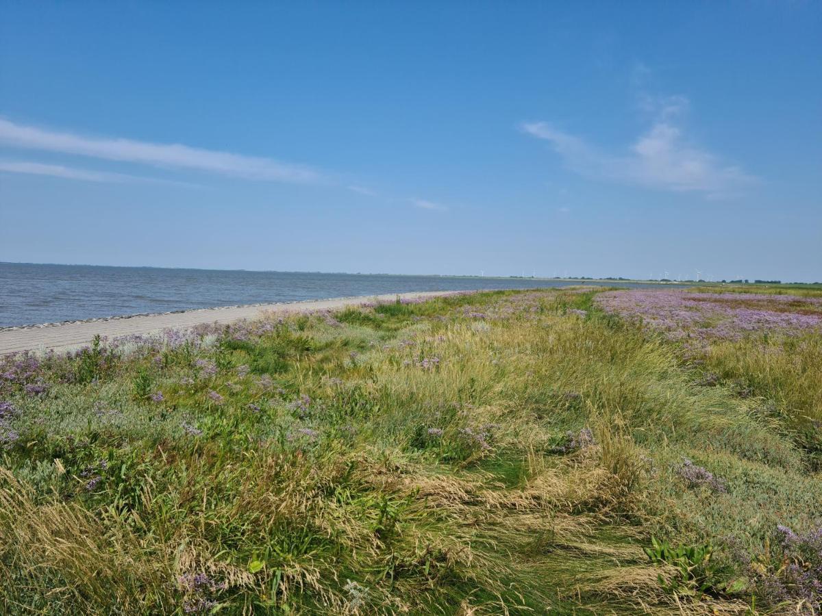 הוילה Schweiburg Haus Meererleben - Urlaub Mit Hund An Der Nordsee מראה חיצוני תמונה