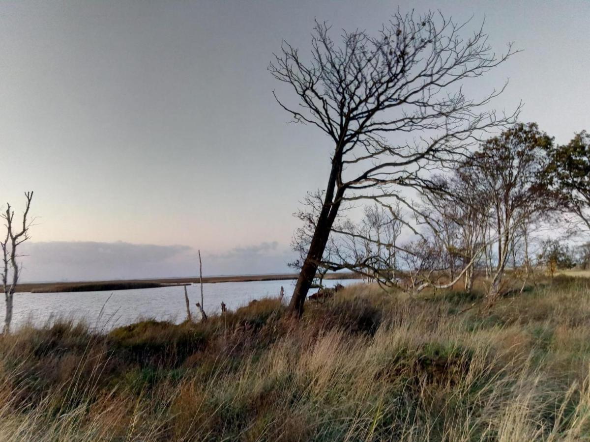 הוילה Schweiburg Haus Meererleben - Urlaub Mit Hund An Der Nordsee מראה חיצוני תמונה