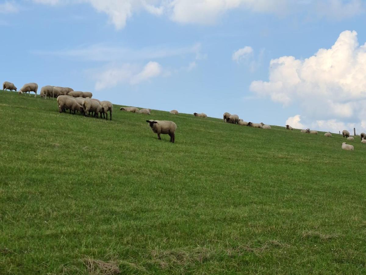 הוילה Schweiburg Haus Meererleben - Urlaub Mit Hund An Der Nordsee מראה חיצוני תמונה